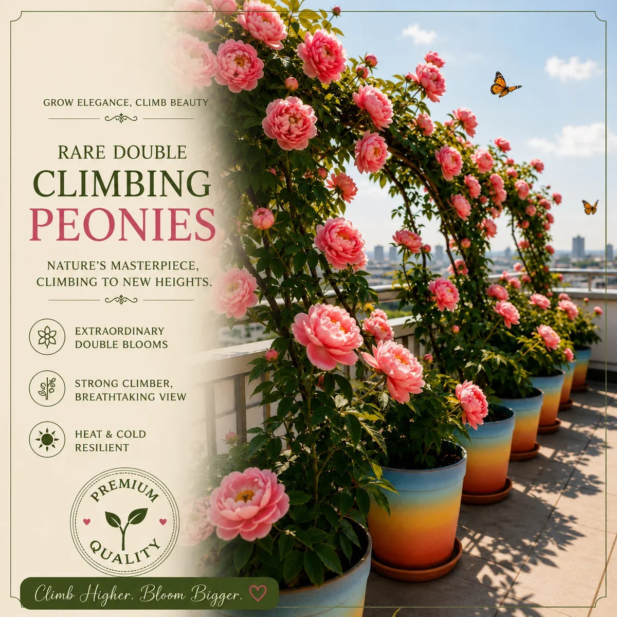 🌸 Rare Climbing Peony – Huge Blooms! 🔥 Buy 6, Get 6 FREE